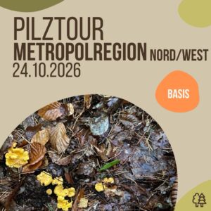 Pilztour - Metropolregion Nürnberg Nord-West, Samstag 24.10.2026 (Basis)