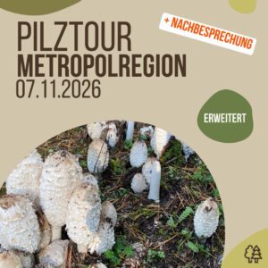 Pilztour - Metropolregion Nürnberg, Samstag 07.11.2026 (Erweitert, mit Nachbesprechung) - genauer Ort in Planung