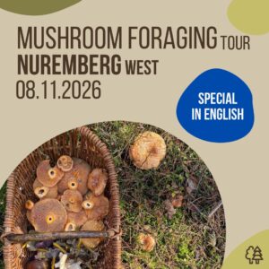 Mushroom foraging tour, Nuremberg West, Sunday 2026-11-08